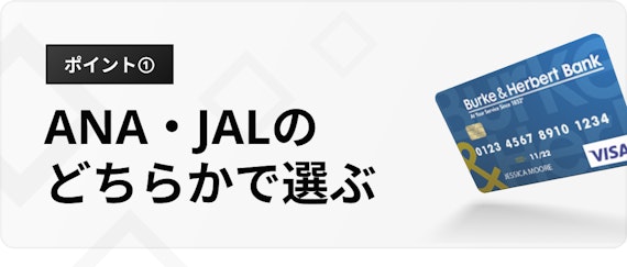 h3_陸マイラー_ANA・JAL