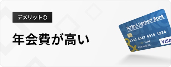 ゴールド カード おすすめ 20 代_年会費が高い_h3