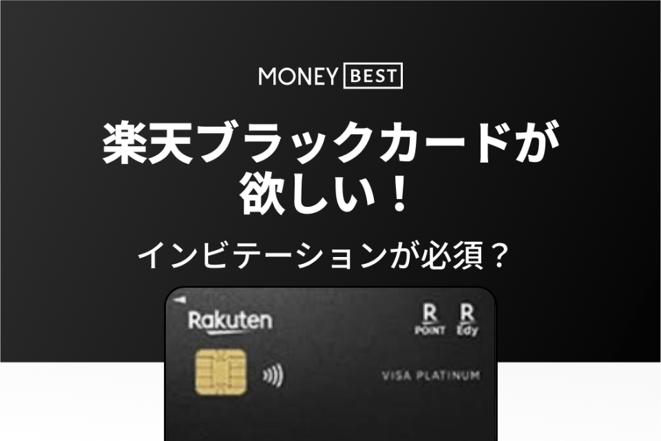 タイムセール 半額 楽天ブラックカード 小冊子 card black Rakuten 手引き その他